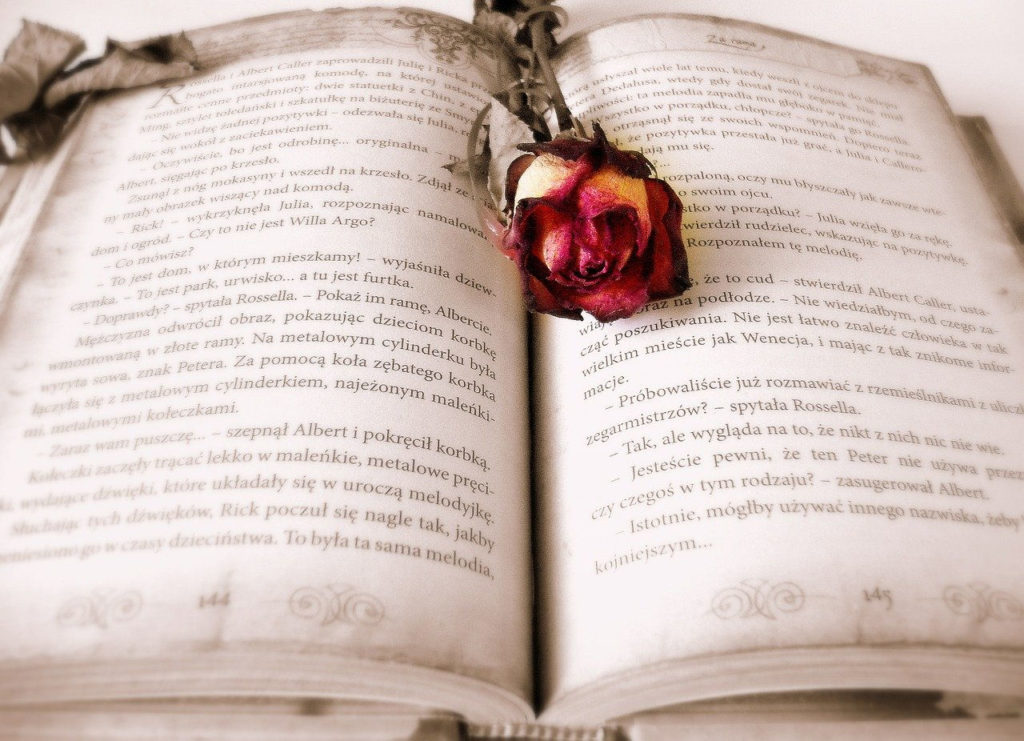 Libros que debes leer para volver a creer en el amor